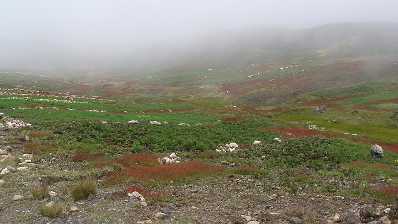 Illampu Trek Steves (180).JPG